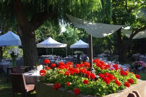 Garden Party du Rosenmeer