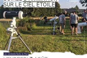 Soirée d'animation sur le ciel étoilé