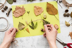 Petits explorateurs et grands créateurs