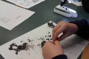 DERNIERES PLACES | Découverte des micromammifères