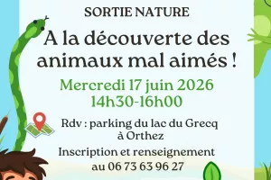 Sortie nature : Animaux mal aimés
