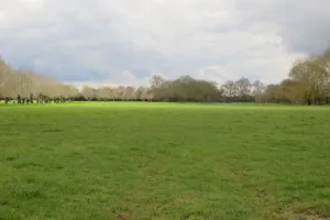 Partons découvrir le bocage et les prairies inondables