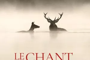 Cinéma en plein air : Le chant des forêts