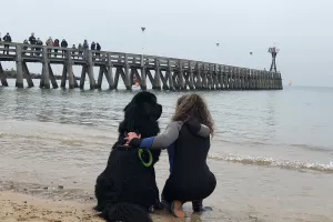 Concours de chien de sauvetage à l'eau