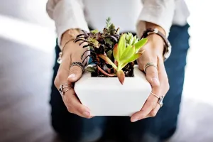 Bourse aux plantes