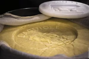 Visite guidée sur la fabrication du fromage