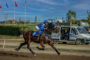 DANS LES COULISSES DE L'HIPPODROME