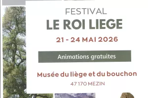 Festival le roi liège