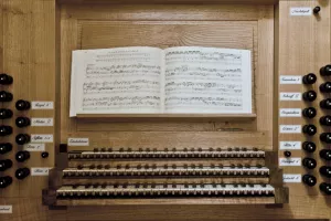 Vendredis de l’Orgue