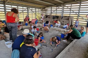 Atelier participatif « Découverte de l’archéologie » de 11h à 12h.