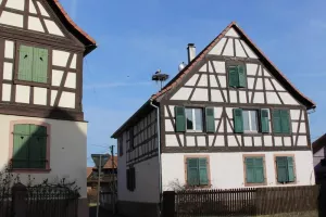 Sortie : chasse au trésor de Schatz la cigogne