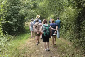 Le remembrement : histoire du bocage