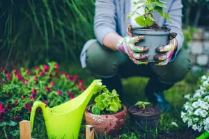 Papotage et jardinage