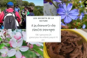 Les secrets de la nature