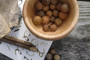 Les recettes du copiste