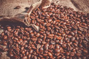 La fête du café