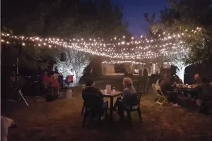 MINI FESTIVAL "LE CHAMP DE LA BIÈRE"
