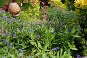 Visite du jardin "Le Remonval"