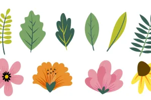 Voyage au fil des jardins