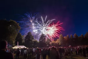 ANNULE - Feu d'artifice