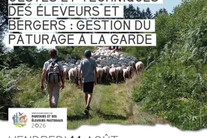 Gestes et techniques des éleveurs et bergers : gestion du pâturage à la garde
