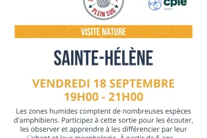 Sortie nature. Visite nature  « Un dragon !  Dans mon jardin ? »
