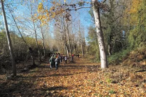 Visite libre du sentier nature