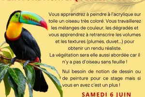 Stage dessin-peinture : Peinture Acrylique - Les oiseaux