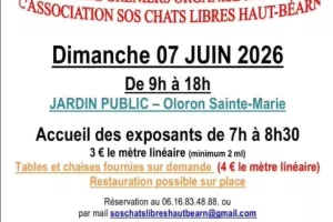 Vide grenier de l'association SOS Chats libres en Haut-Béarn