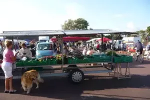 Marché nocturne