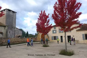 Balade en Chalose de Brocas à Aules
