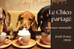 Le chien partagé