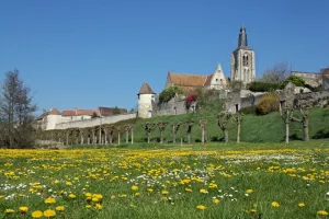 Fête de la Saint-Aignan