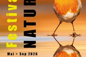 ATELIERS : TOUT SAVOIR SUR LE LOUP