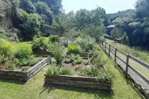 Déambulation dans le jardin médiéval