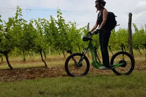 Eté actif | Trottinette électrique tout-terrain | Lac de Gurson