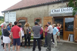 Balade sur le "chemin de la Ligne", visite d'un souterrain et apéritif vigneron au Chai Doléris