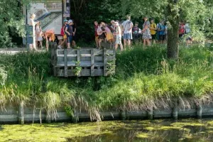Balade naturaliste : découverte des bassins filtrants