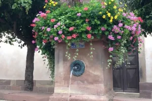 Fête de la fontaine