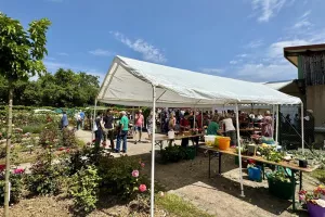 Fête des roses