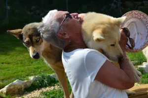 Visite de parc et immersion chiens de traineaux