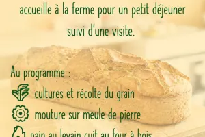 Petit déjeuner, dégustation et visite de ferme d'un paysan boulanger