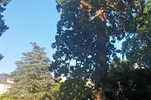 Sophro balade au Botanique