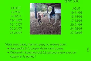 stages poneys et découverte de l'équimotricité(c)
