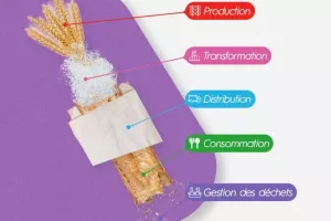 Envie de découvrir un secteur essentiel et plein d’opportunités ? 🔎
