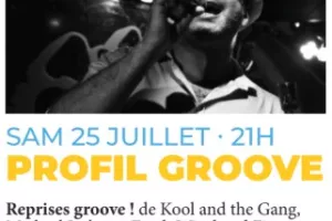 Profil Groove