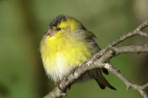 Sortie Bords De Vienne