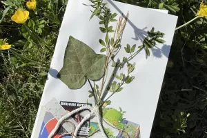 Atelier herbier artistique🌿