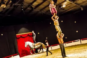 Cirque & Jazz aux Écuries - 14ème Édition