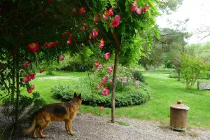 JOUR DES ARTISTES AU JARDIN